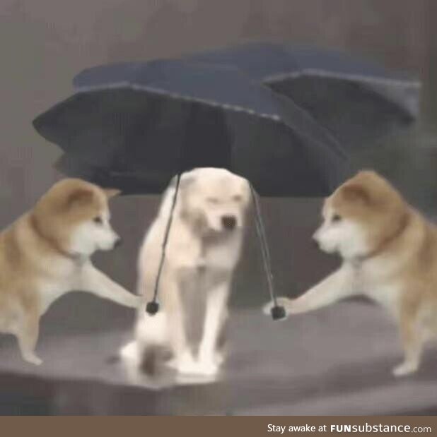 Use a picture to illustrate my mood at work