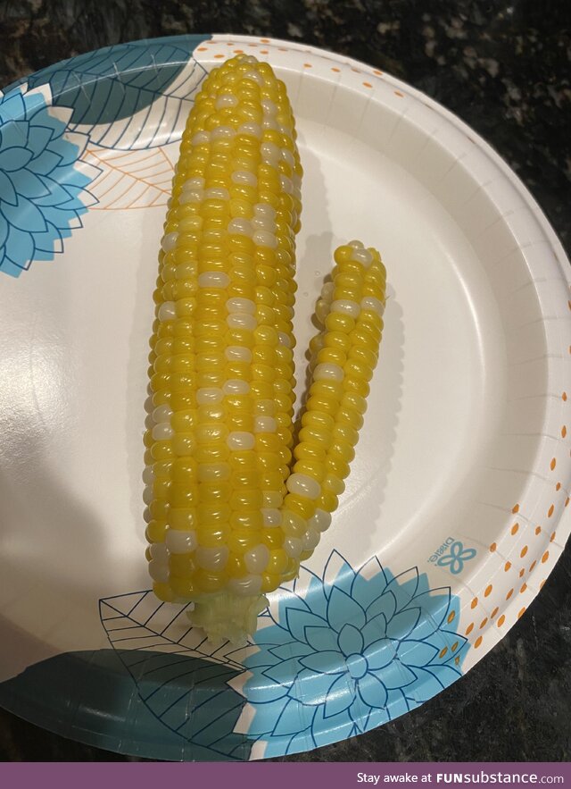 Shocker corn