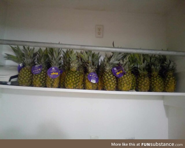 Take as many as you want they said. So I did. OH... Got-ta crap-ton o'pineapples in my