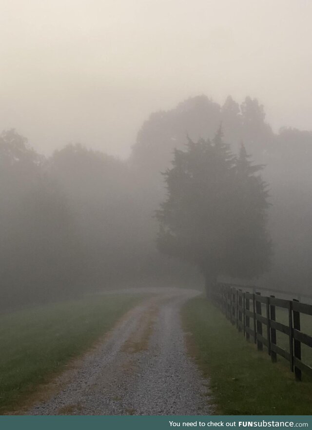 Misty morning at the farm