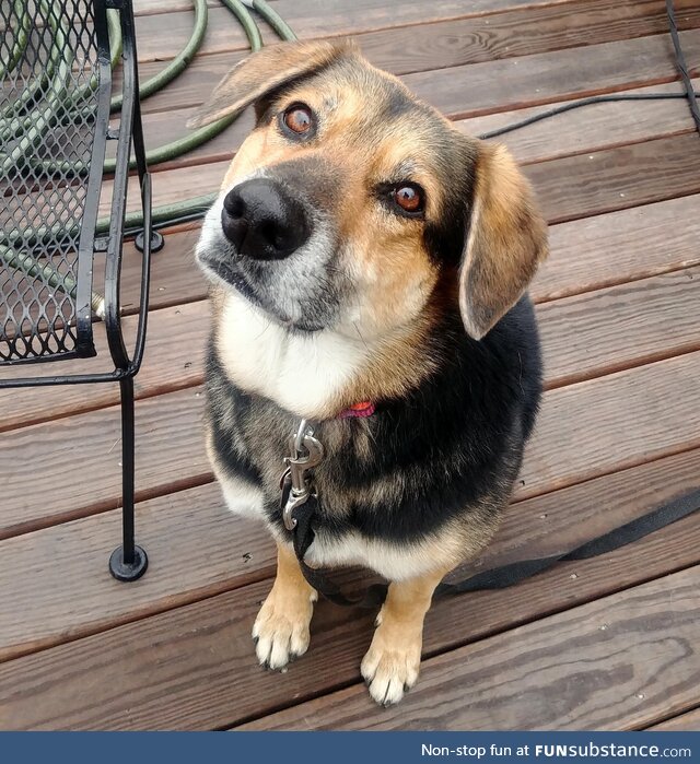 My 10yo girl is aging like a fine wine