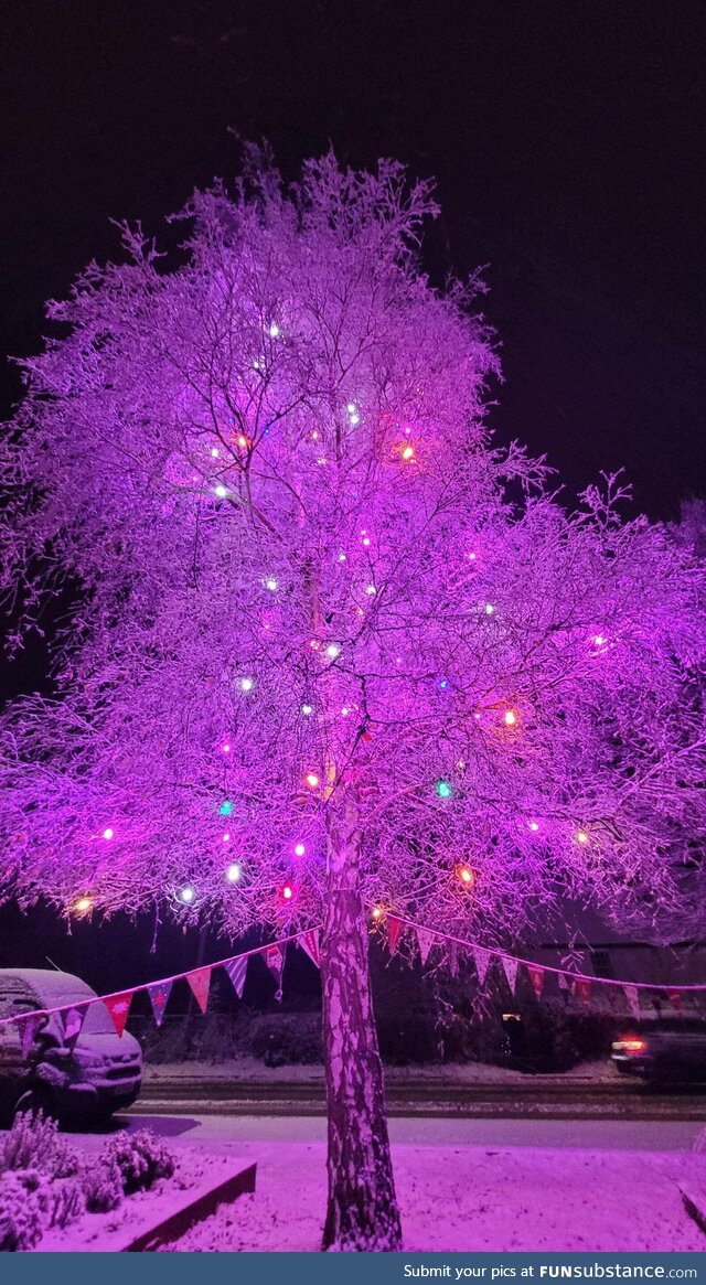 This lit up tree covered in snow