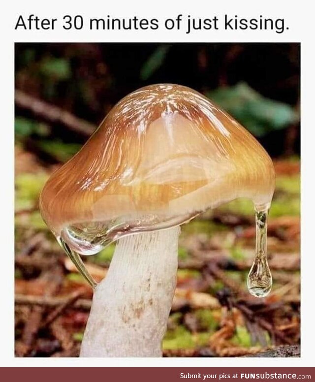 Be gentle darling, there's not mushroom