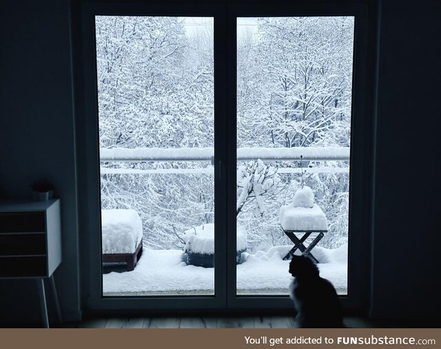 This morning, opening the blinds - Switzerland