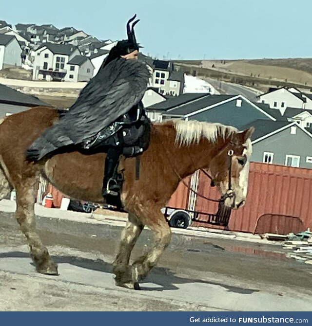 I managed to get a picture as I passed by, but I have so many questions and so few