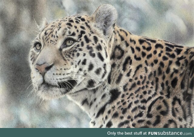 Colour pencil drawing of a jaguar, which I completed in 2019. Have a great day! [OC]