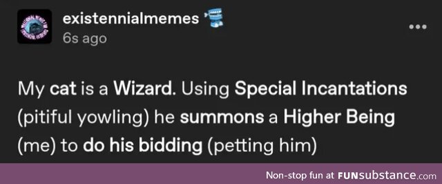 So a normal cat then