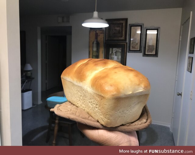 My best loaf yet!