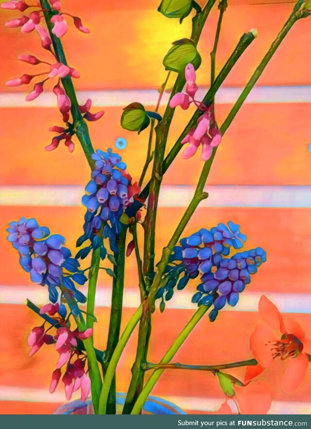 [OC] Spring flowers from the woods behind my house