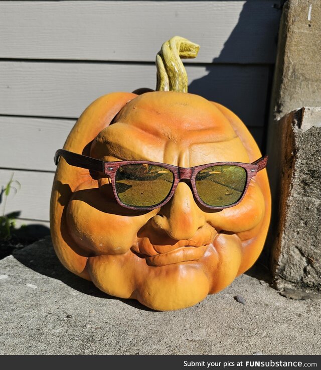 My pumpkin