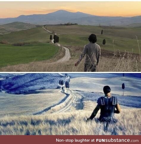 I found the spot from this scene in the movie Gladiator while driving around Tuscany,