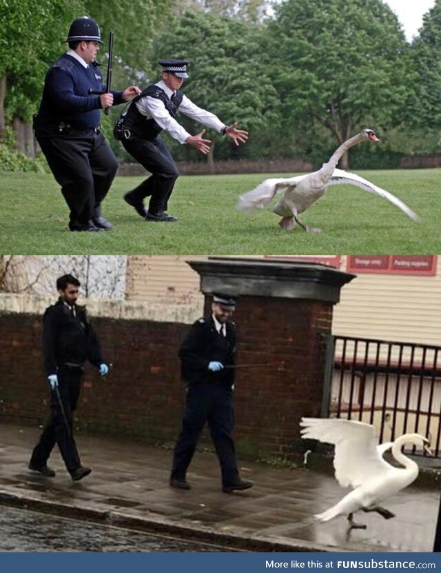 Wondered if the sequel to Hot Fuzz was being filmed in my town…