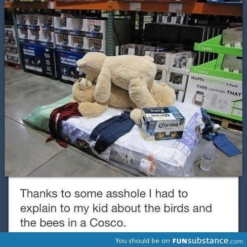 Cosco fun