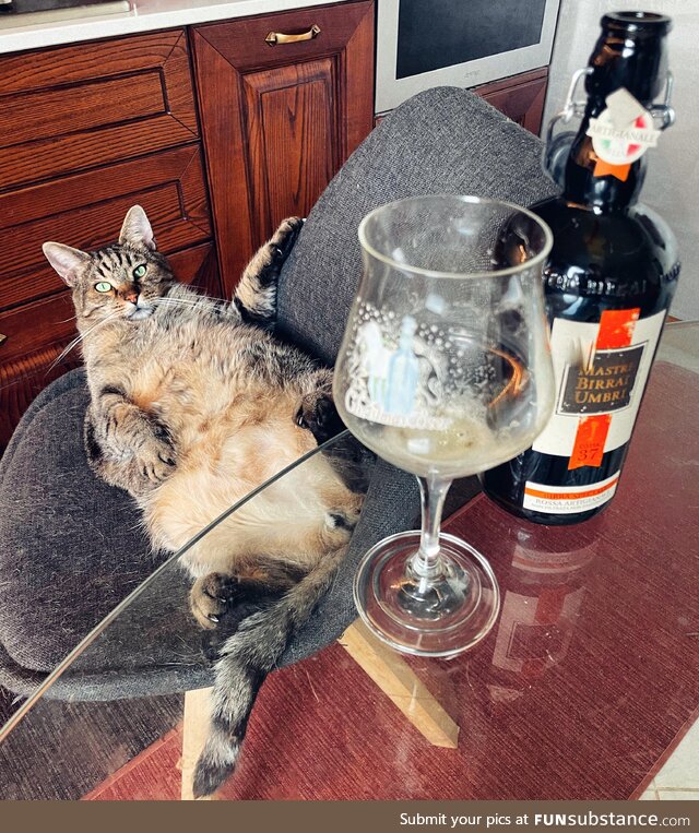 This is my cat Leo. He’s old enough to drink