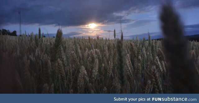 [OC] The fields near my dad's home on a hike