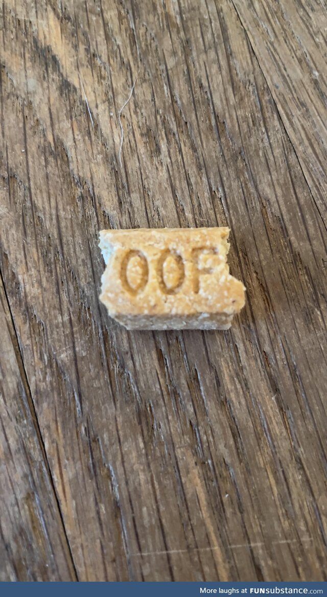 My parent’s dog didn’t finish his treat