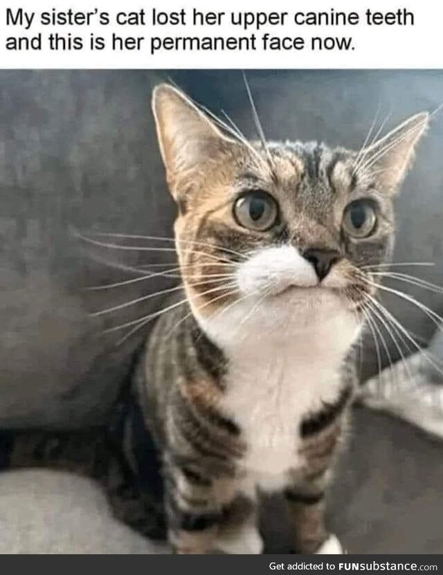 Wow