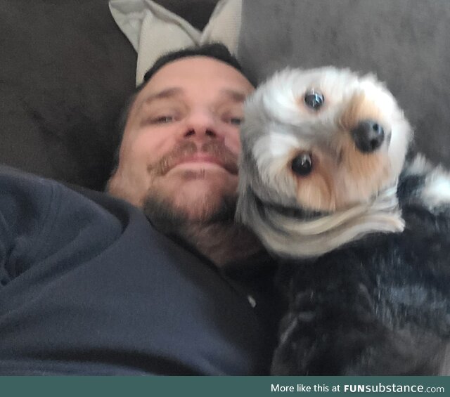 At first glance my dog looks like a deformed muppet
