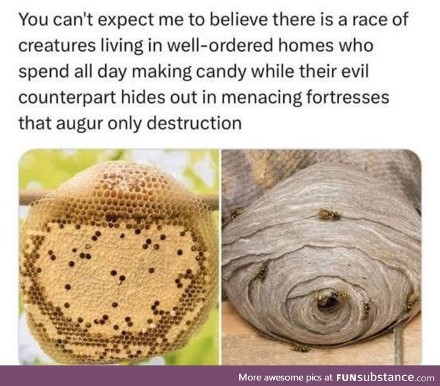 A tale of two insects