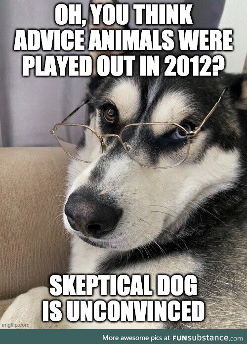 Skeptical Dog is unconvinced