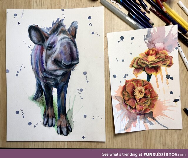 [OC] Just finished drawing a Brazilian tapir and two French marigolds