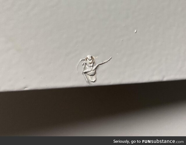 Landlords- please don’t paint over c*ckroaches