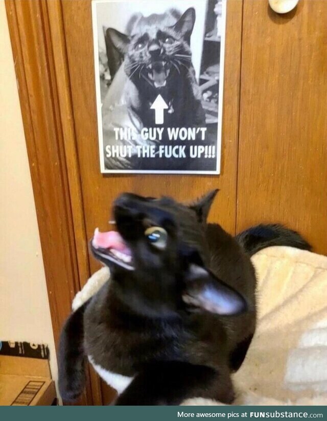 As the prophecy foretold