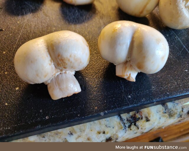 I'm Cookin' With Buttshrooms!