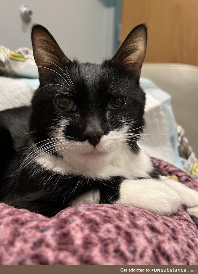 Had to put this guy to sleep today, and my 3yo son starts chemo in 4 days. Can 2022 be