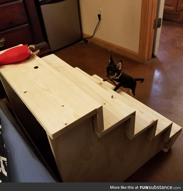 Built my girl "Schmuffin" some steps so she can get in the bed and cuddle me!!