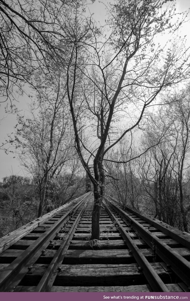 One of my favorite photos I've ever taken