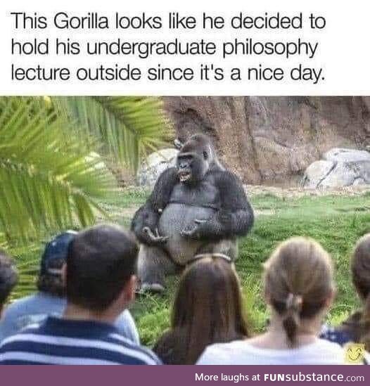 It's "Dr Gorilla" to you
