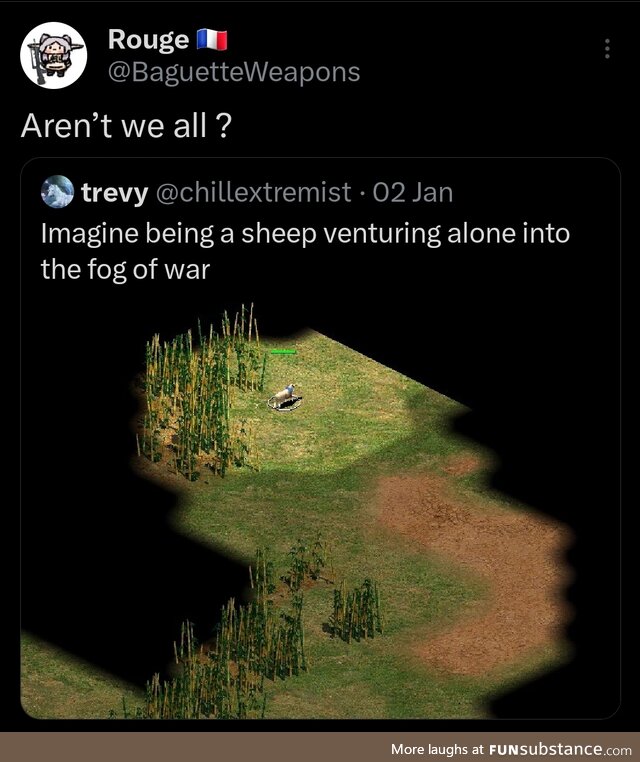 Fillosuffee?
