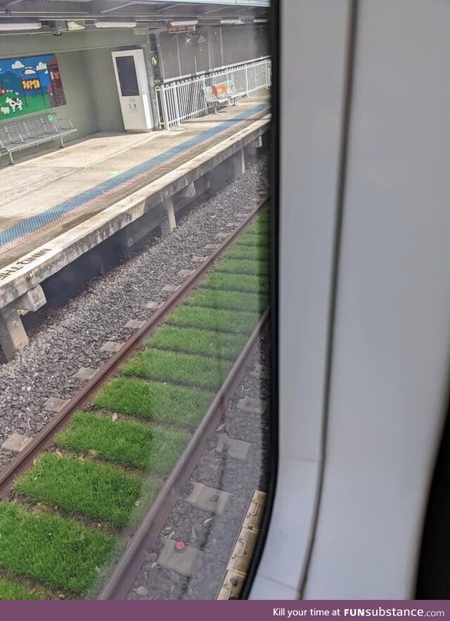 A train dropped a heap of grain, followed by some solid rain. Train grain rain tracks