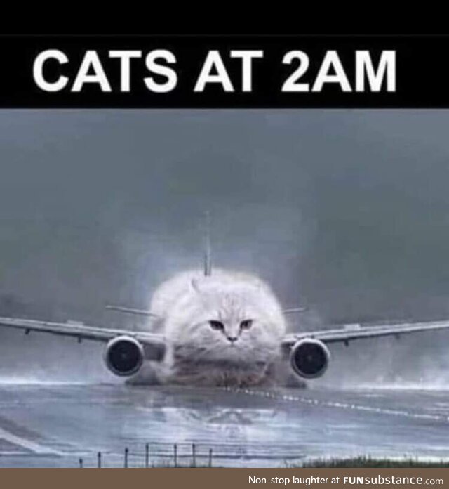 True