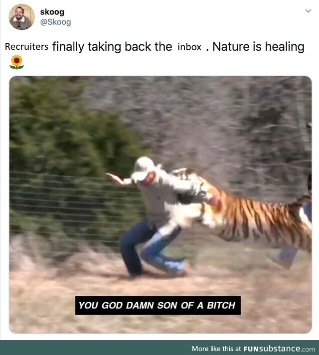butThisTimeImActuallyReplying