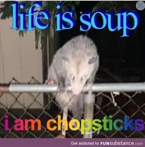 Possum posting