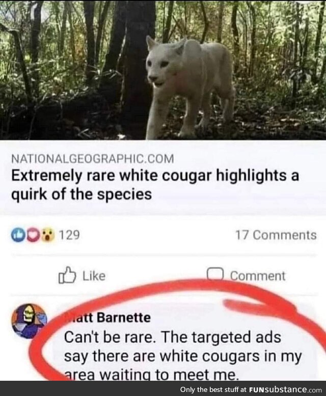Sus