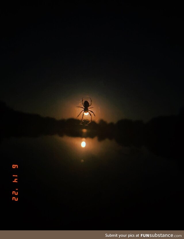 Strawberry moon/spider moon