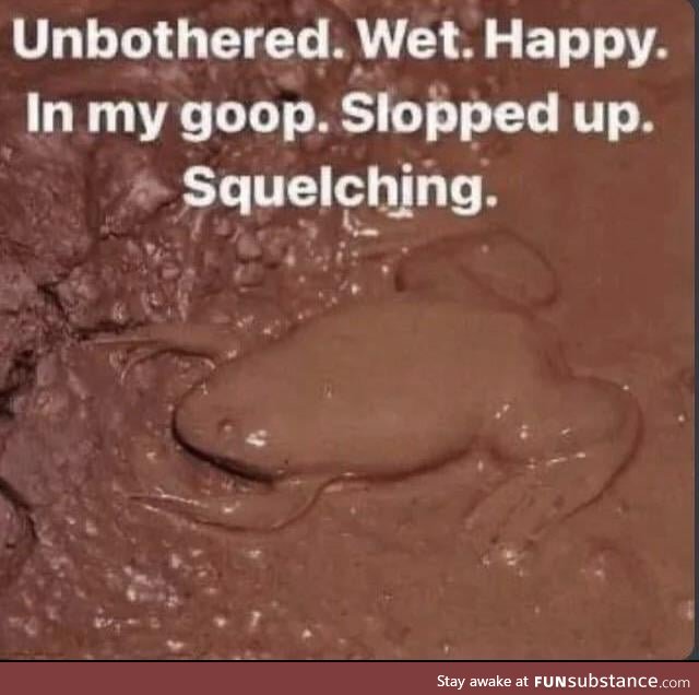 Muddy Frog = Happy Frog