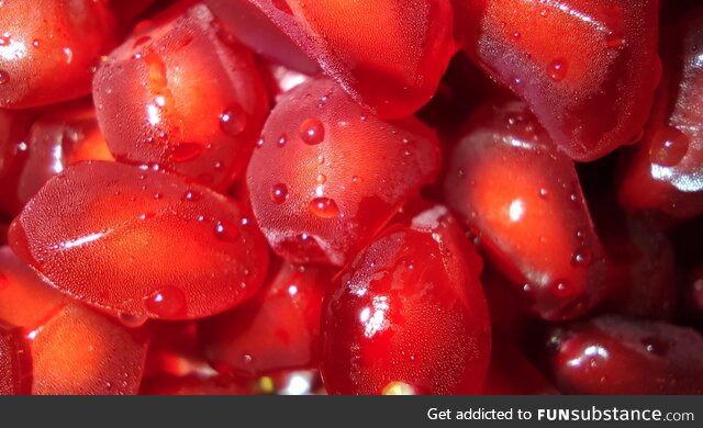 Icy pomegranate seeds