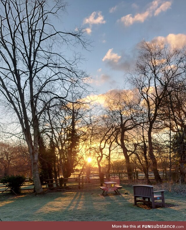 Frosty morning walk