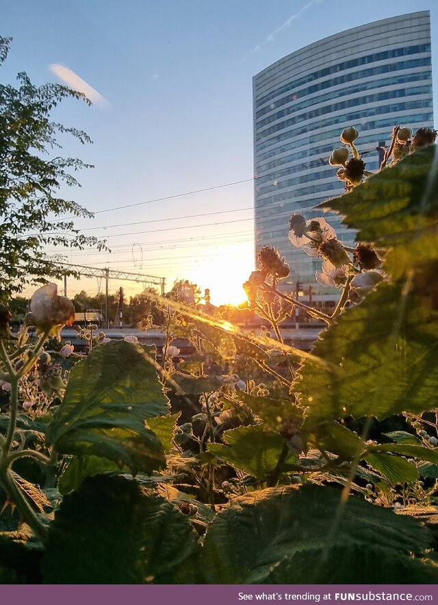 [OC] sun down in Hoofddorp Netherlands