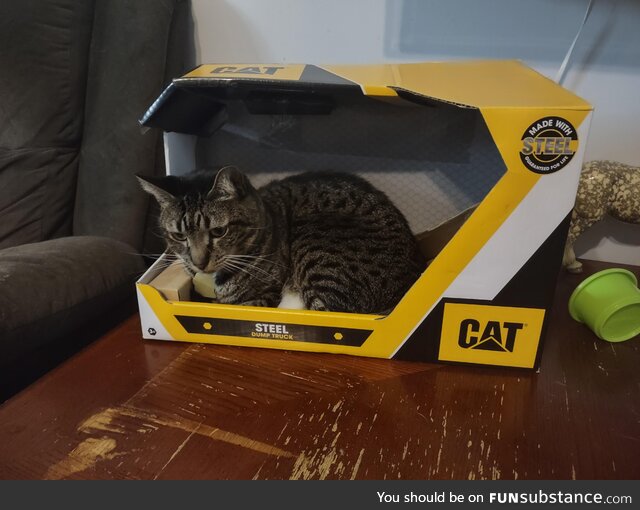 Perfect box for my CAT