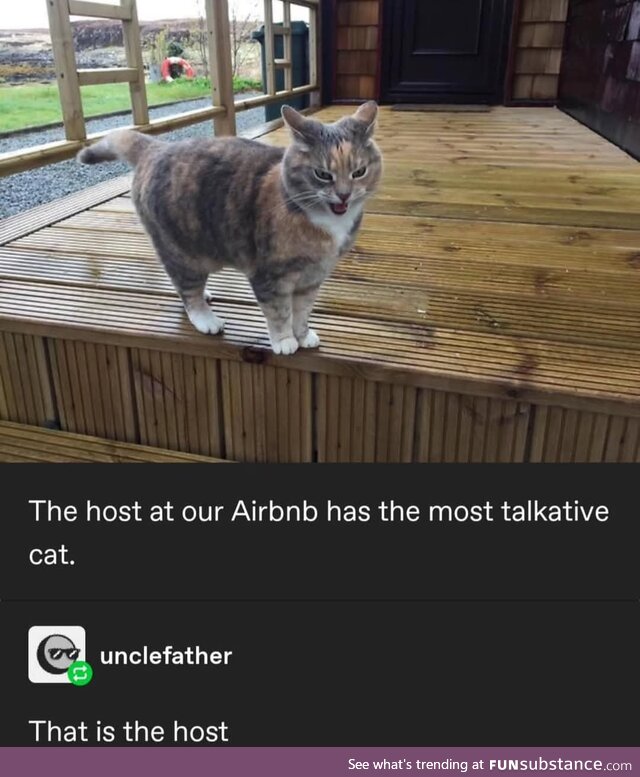 Meow