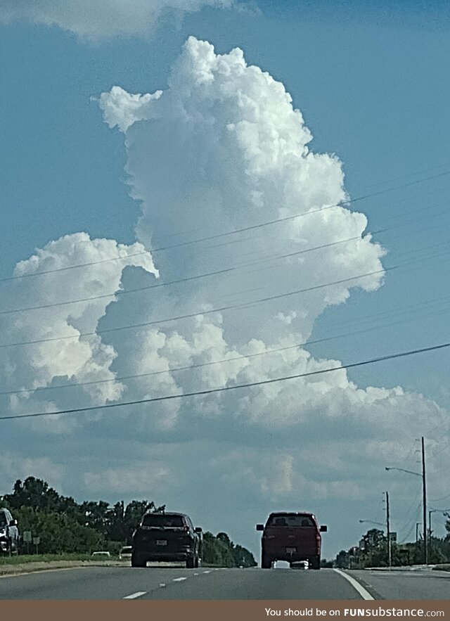 This cloud looks like Homer Simpson