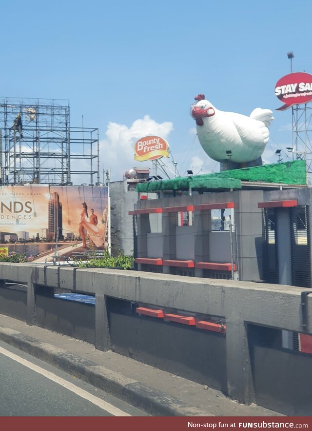 Have you seen a giant chicken wearing a facemask and face shield?