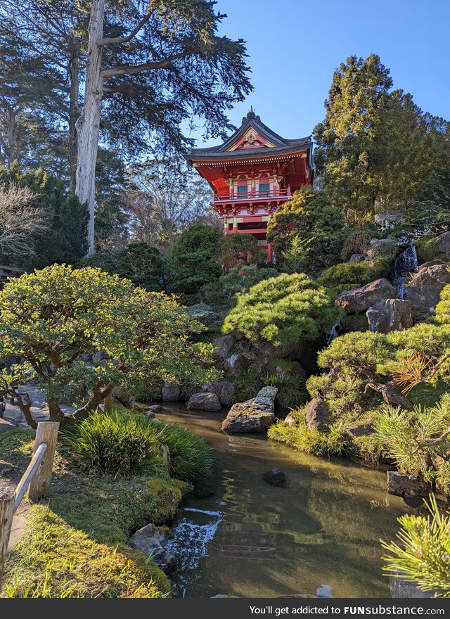 Japanese Tea Gardens at Golden Gate Park!