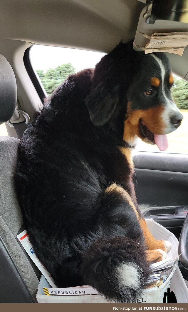New Co-pilot