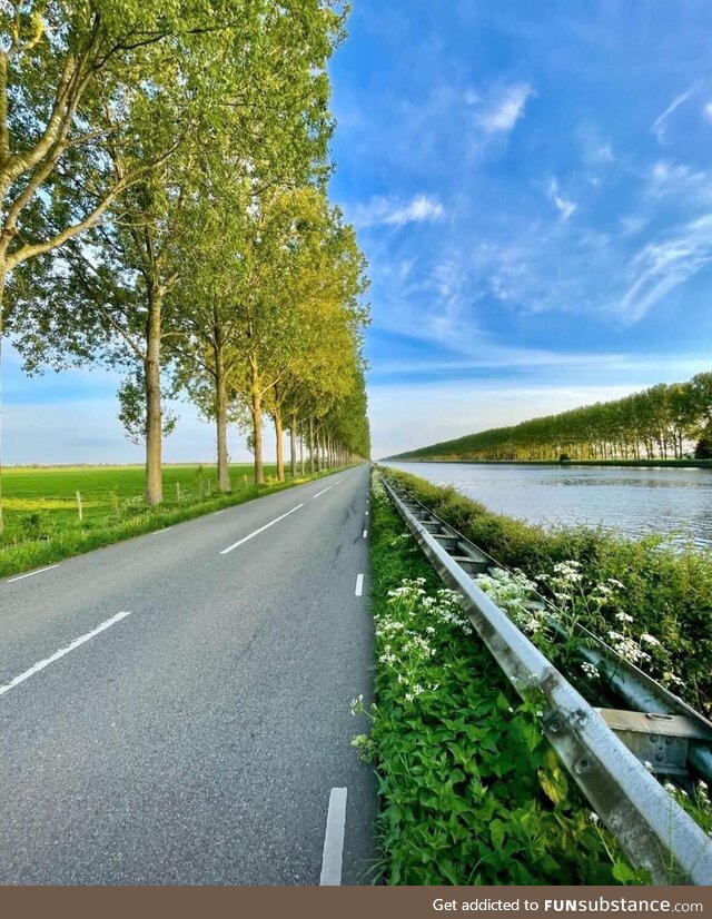 Single picture of a Dutch landscape . Photo by Rob Hoeijmakers